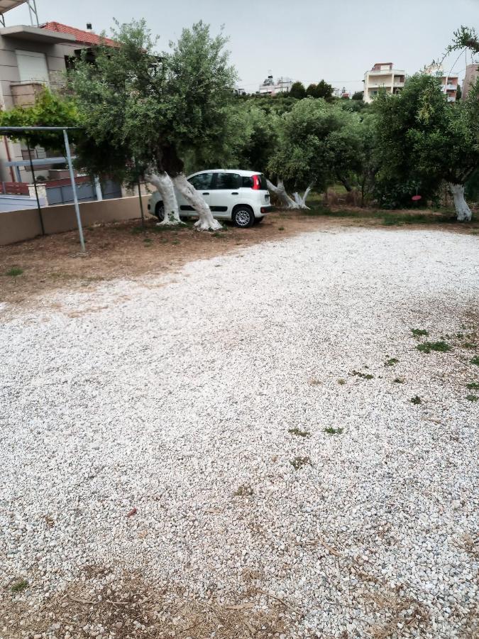 Argo Apartments Κάτω Δαράτσο Εξωτερικό φωτογραφία